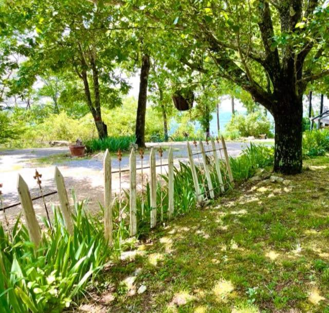 Eagles Perch - Mentone'S #1 Vacation Rental! Exterior foto