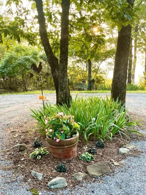 Eagles Perch - Mentone'S #1 Vacation Rental! Exterior foto